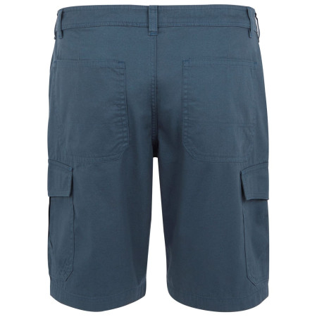 Мъжки къси панталони Regatta Ruwan Shorts