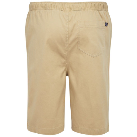 Мъжки къси панталони Regatta Aldan Short