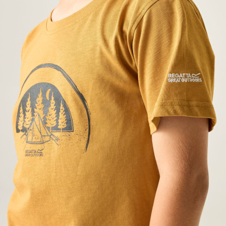 Детска тениска Regatta Bosley Wood Brown
