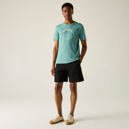 Мъжка тениска Regatta Cline IX