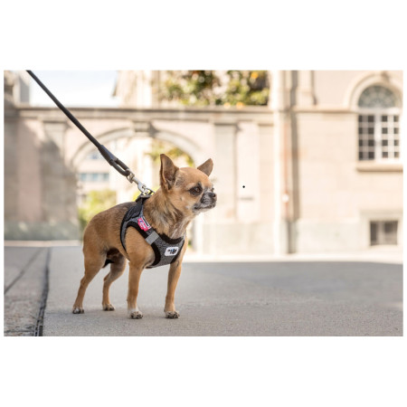 Повод за куче Curli Stretch Comfort Leash