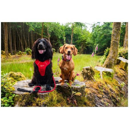 Повод за куче Mountain Paws Rope Dog Lead