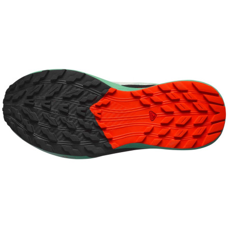 Дамски обувки за бягане Salomon Sense Ride 5