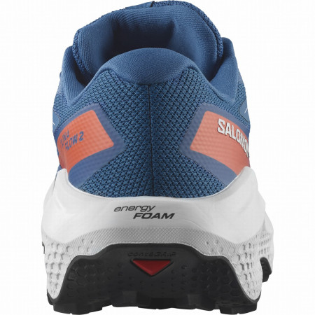 Мъжки обувки Salomon Ultra Flow 2 Gore-Tex