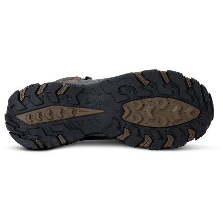 Мъжки обувки Regatta Holcombe Classic