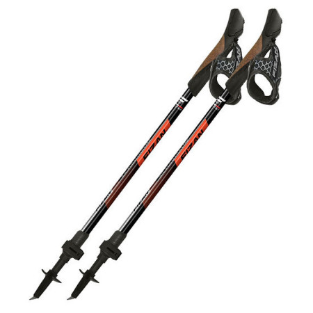 Щеки за скандинавско ходене Fizan R-Evolution Pro
