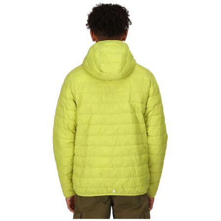Мъжко зимно яке Regatta Hooded Hillpack