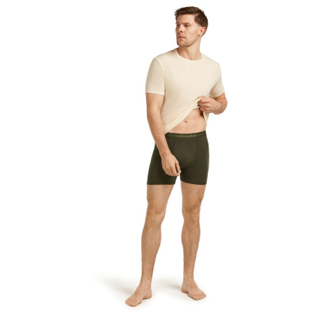 Мъжки боксерки Icebreaker Mens Anatomica Boxers
