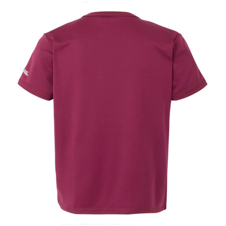 Детска тениска Regatta Alvarado IX
