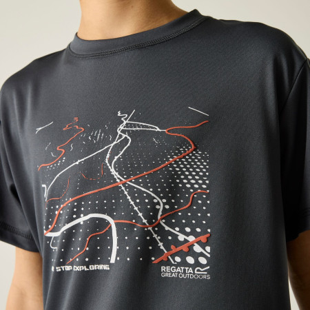 Детска тениска Regatta Alvarado Seal Grey