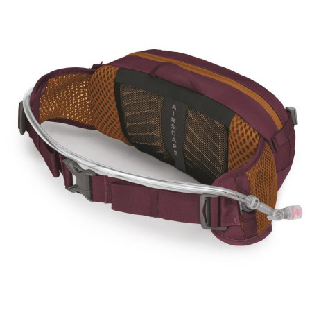 Чанта за кръста Osprey Seral 4