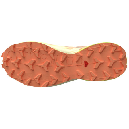 Дамски обувки за бягане Salomon Speedcross 6