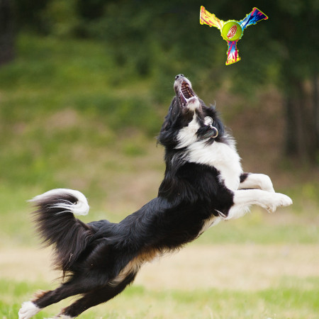 Играчка за куче Nerf Dog Color Grip Tri Flyer 20 cm