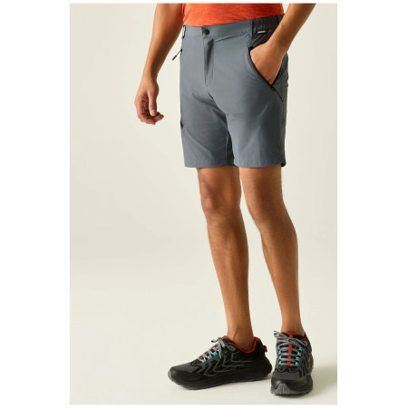 Мъжки къси панталони Regatta Xert Stretch Shorts