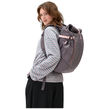 Раница Aevor Roll Pack 2.0