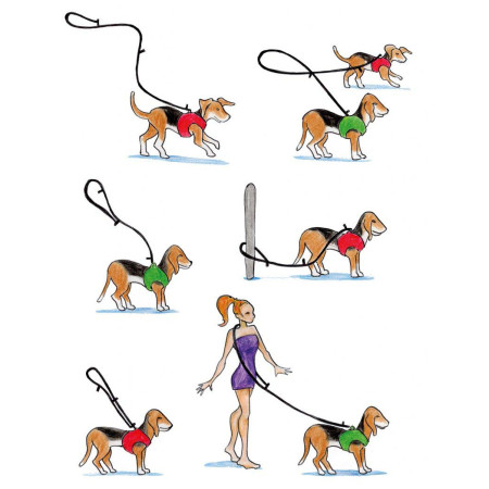 Повод за куче Curli Adjustable Leash Nylon
