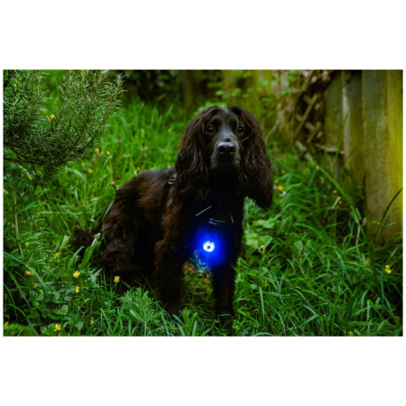 Светлина за куче Mountain Paws Dog safety light 2-Pack