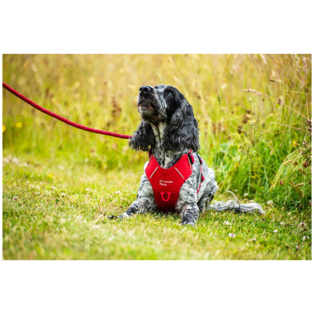 Нагръдник за куче Mountain Paws Dog Harness
