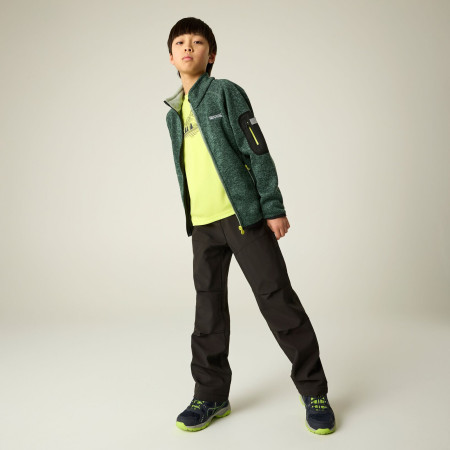 Детски суитшърт Regatta Junior Newhill DrkForGlacGr