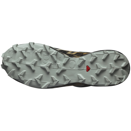 Мъжки обувки за бягане Salomon Speedcross 6 Gore-Tex