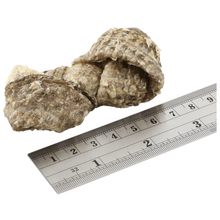 Лакомства за кучета Fish4Dogs Dental Sea Jerky Fish Knots 100g