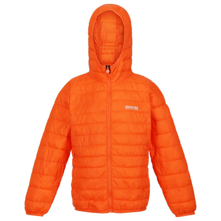 Детско яке Regatta Jr Hooded Hillpck