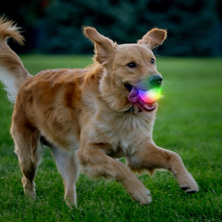 Играчка за куче Nite Ize GlowStreak Wild LED Ball