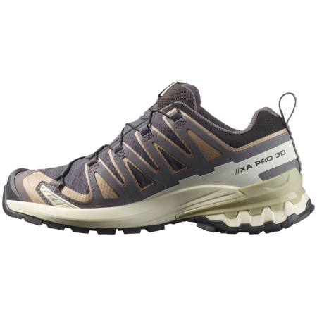 Дамски туристически обувки Salomon Xa Pro 3D V9 Gore-Tex