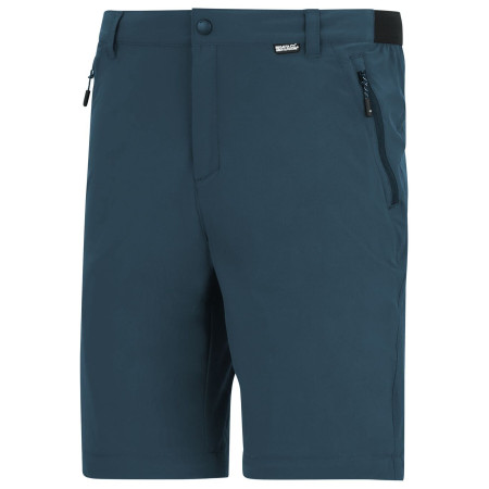 Мъжки панталони Regatta Anti-Insect Travel Light Z/O Trousers