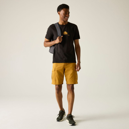 Мъжка тениска Regatta Cline IX