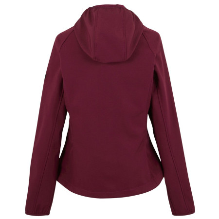 Дамско яке Regatta Wmns Arec III