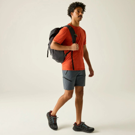 Мъжки къси панталони Regatta Xert Stretch Shorts