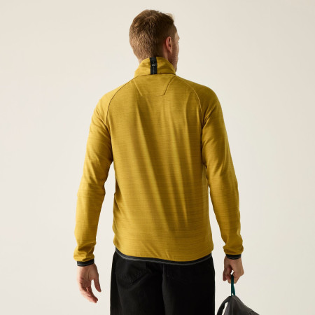 Мъжки суитшърт Regatta Malton