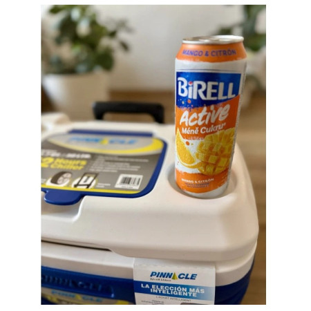 Хладилна кутия Pinnacle Prudence 30L