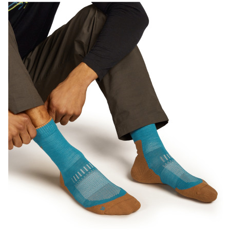 Мъжки чорапи Icebreaker M Mer Hike+ Light Crew