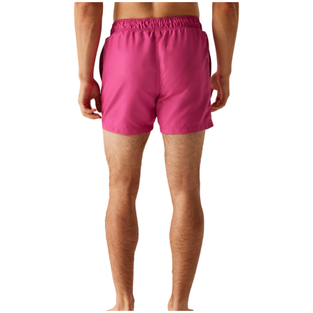 Мъжки бански Regatta Mawson III Swim Shorts