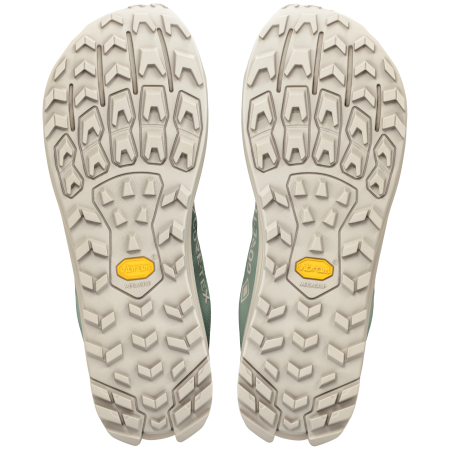Мъжки обувки за бягане Altra Lone Peak 9+ GTX