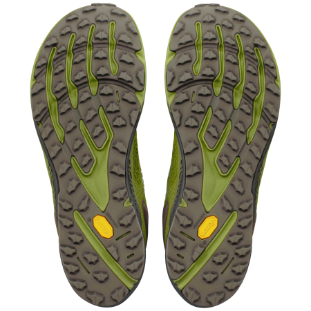 Мъжки обувки за бягане Altra Timp 6 GTX