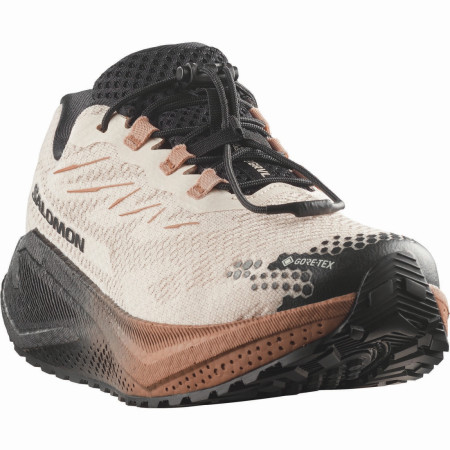 Дамски обувки за бягане Salomon Aero Blaze 4 Grvl GTX W