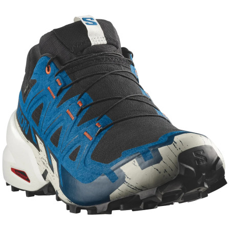Мъжки обувки за бягане Salomon Speedcross 6 Gore-Tex