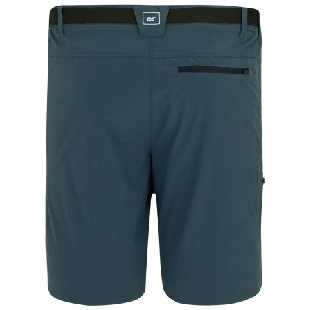 Мъжки къси панталони Regatta Xert Stretch Shorts