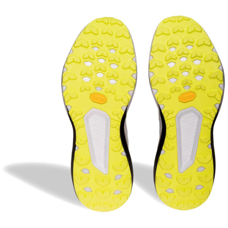 Мъжки обувки за бягане Dynafit Trail