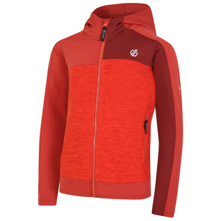 Детски суитшърт Dare 2b Thriving II Core St