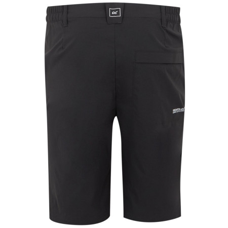 Мъжки къси панталони Regatta Highton Shorts Long II