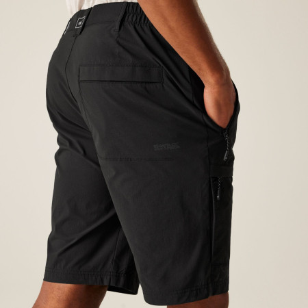 Мъжки къси панталони Regatta Highton Shorts Long II