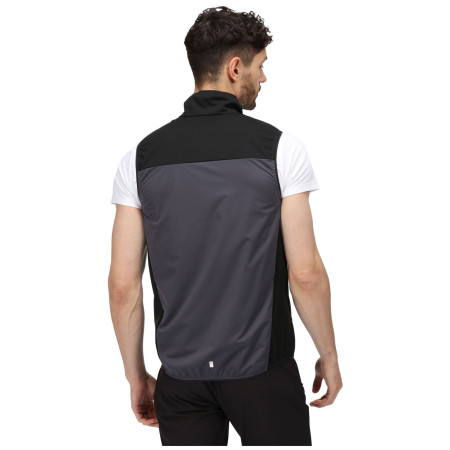 Мъжка жилетка Regatta Lankin IV