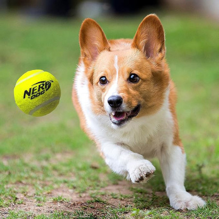 Играчка за куче Nerf Dog Blaster + Tennis Balls 3 pcs