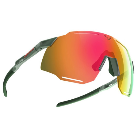 Слънчеви очила Dynafit Alpine Evo Sunglasses зелен 5290 - sage / thyme CAT 3