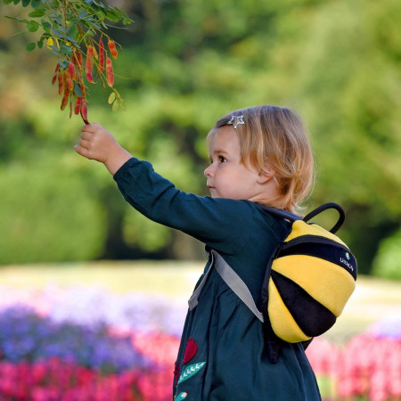 Детска раница LittleLife Toddler Bee