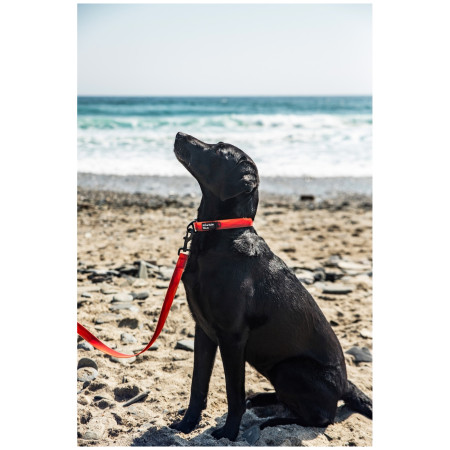 Повод за куче Mountain Paws Waterproof Dog Lead